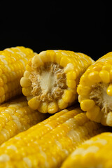 Cooked Corn Cob on Black Background Macro