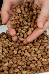 Handful of raw uncooked vicia faba beans close-up