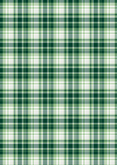 Green plaid fabric texture featuring a classic tartan pattern with geometric lines	