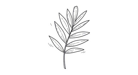 Delicate botanical drawing of a slender branch with leaves, isolated