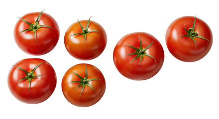 Fototapeta premium Four distinct varieties of ripe tomatoes, including heirloom & classic red, artfully arranged flat lay on a transparent background with soft studio light. Natural goodness and quality ingredients