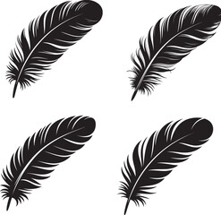 Fototapeta premium A set of four detailed feather illustrations in a black and white style.