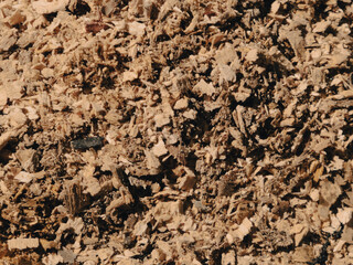 A textured background of rich, brown wood chips.