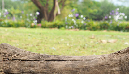 Tree Trunk Podium on green background in nature garden. used for montage or display your products.