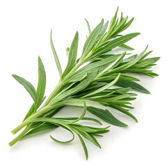 Fototapeta premium Dried tarragon leaves isolated on white background, showing slender, aromatic green leaves commonly