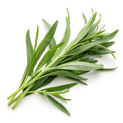 Fototapeta premium Dried tarragon leaves isolated on white background, showing slender, aromatic green leaves commonly
