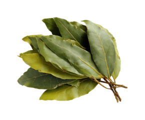 Cooking with bay leaves culinary tips kitchen food home isolated on transparent background, png