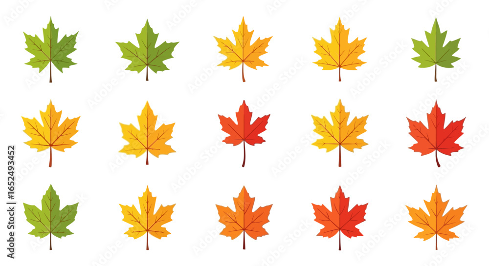 Poster vector icons set of vibrant array of maple leaves illustrating the seasonal color transition of autu
