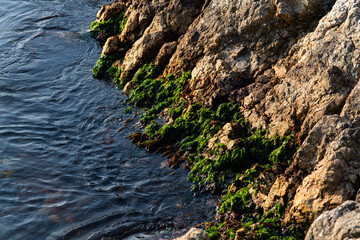 high angle view of the cliff and sea