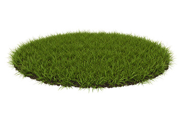 circle of lush green grass isolated on transparent cutout background, cut out, png