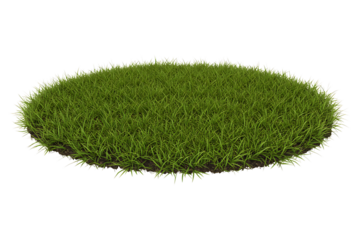 circle of lush green grass isolated on transparent cutout background, cut out, png