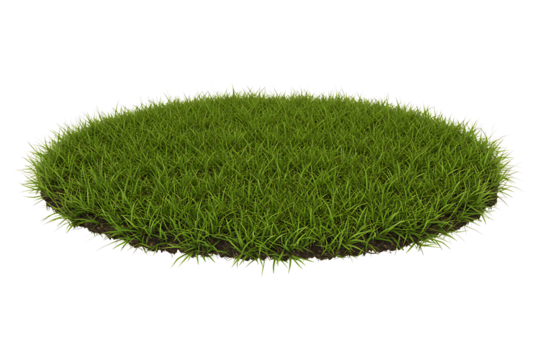 circle of lush green grass isolated on transparent cutout background, cut out, png