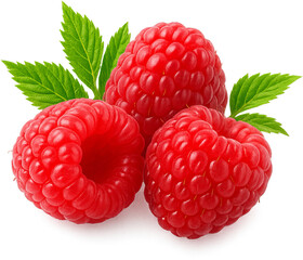 Raspberry realistic illustration