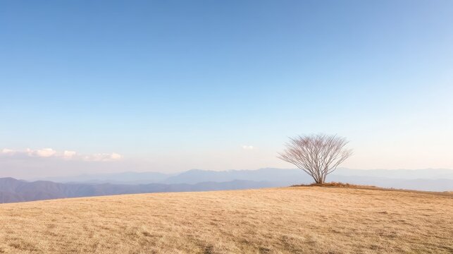 Solitary Tree Enduring Elements on Peak, Vast Horizon for Adventure Film Titles and Environmental Reports. - Powered by Adobe