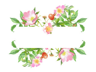 Banner of rosehip. Handmade watercolor art work. For packaging design, cards, cover, prints, product labels and fabric.