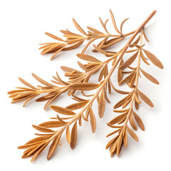 Dried thyme leaves isolated on white background, displaying their small, aromatic green leaves commonly