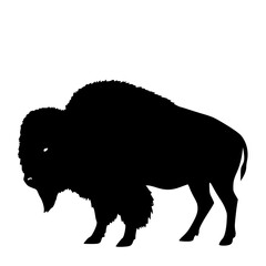 American buffalo silhouette, rugged vector.