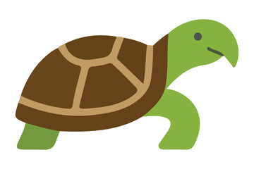 Cartoon turtle illustration on white background