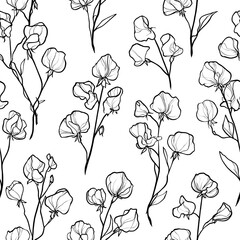 Delicate black and white line drawing of sweet pea flowers and stems floral