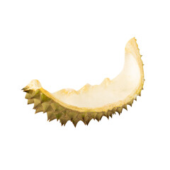 Durian peel, cutout, full depth of field.