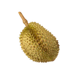 Durian, cutout, full depth of field.