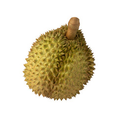 Durian, cutout, full depth of field.