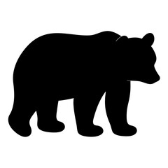 Obraz premium Silhouette of a powerful grizzly bear walking with grace and determination