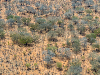 View of the dry landscape from above in Zimbabwe.