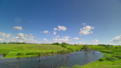 A Beautiful and Lush Landscape Featuring a Serene Waterbody Beneath a Clear Blue Sky
