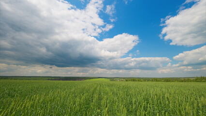 Fototapeta premium A Scenic and Lush Green Field That Lies Under a Beautiful and Dynamic Cloudy Sky Above It