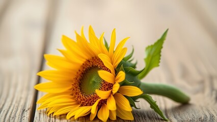 Obraz premium Close-up of a sunflower on a wooden surface with even lighting and shallow depth.