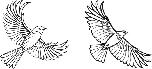 The image shows several stylized line drawings of birds in flight.
