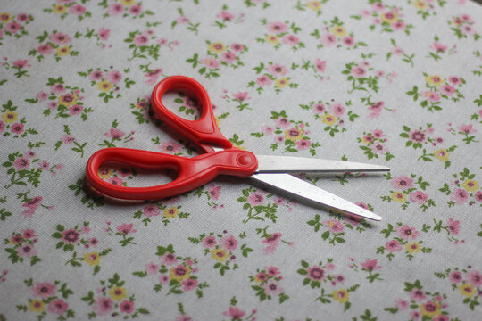 scissors and ribbon