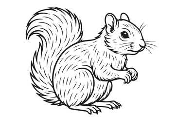 Vector illustration of a squirrel in simple black and white style, outlined with bold black strokes, perfect for logo, nature themes, or woodland graphics.