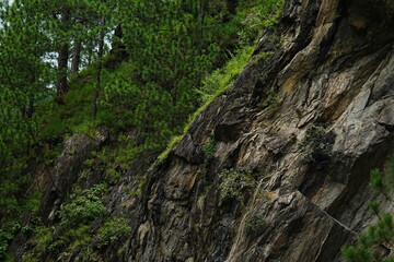 Steep Rocky Cliff with Green Trees