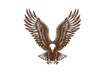 Obraz premium Eagle Engraved Hand Drawn Natural Illustration Vector Isolated by AZ for Books, Arts, Design and Decoration Graphic Asset