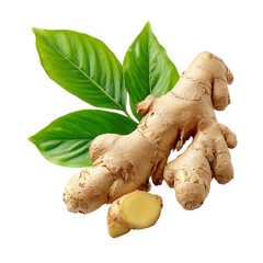 Ginger herb with leaf on transparent background