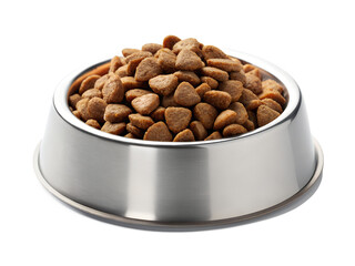 Bowl of Dry Cat Food