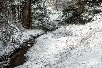 Narrow Creek Meandering Through Snowy Woods