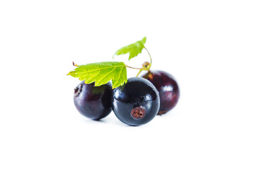 Ripe blackcurrant berries with leaves isolated on white.