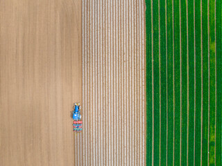 In spring, farmers use farm machinery to grow peanuts
