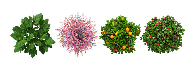 Variety Rounded Garden Bushes Set, Green, Pink, Orange, Red Fruit, Top View, Landscape Architecture Plan Elements, Isolated Cutout, Transparent Background
