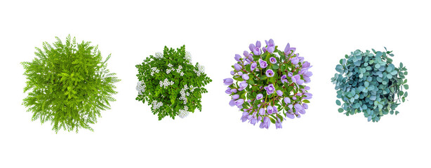 Four Garden Plants, Top View, Green, White, Purple, Blue, Landscape Design Element, Architecture Plan, Isolated, Transparent Background