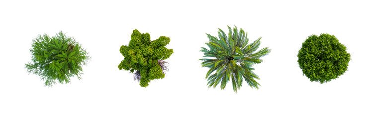 Assorted Green Garden Shrubs, Landscape Design Elements, Architecture Plan Layout, Top View, Nature Cutout, Environment Plants, Flat Style - Transparent Background