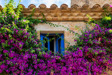 Fototapety na wymiar - Fototapeta24.pl