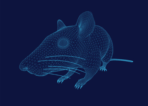 A 3D wireframe rat model stands out against a dark blue background, showcasing intricate skeletal details. The digital rendering features clean lines and geometric shapes.