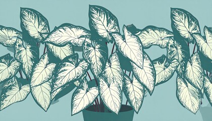 Plants in pot, patterned leaves