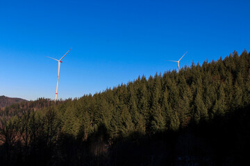 view over the coniferous forest with wind turbine and blue sky