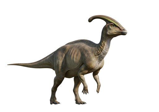 Parasaurolophus for design isolated element