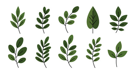 Collection of Green Leafy Branches for Decoration and Design Elements